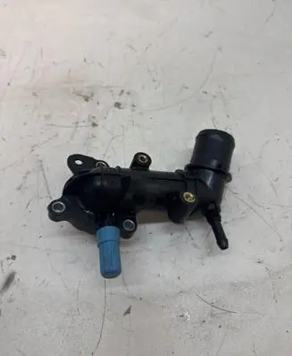Thermostat/thermostat housing