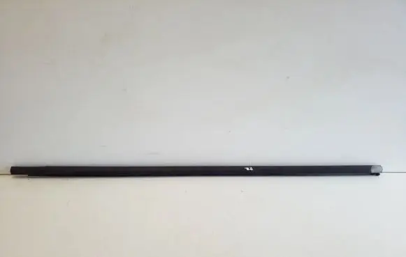 Front door glass trim molding