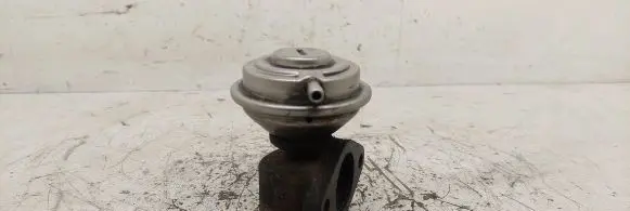 Audi A6 S6 C5 4B EGR valve 2167505