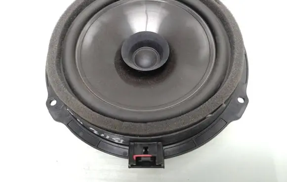 Rear door speaker