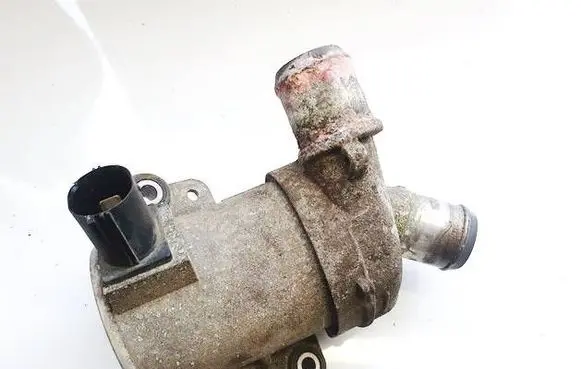 Ford C-MAX II Water pump DS7E8C419GA