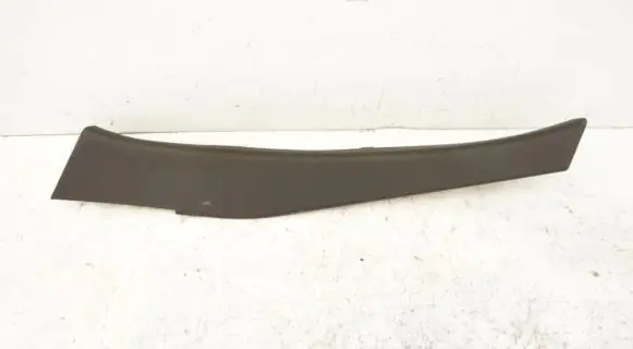 Renault Scenic III - Grand scenic III Front sill trim cover 849510008R