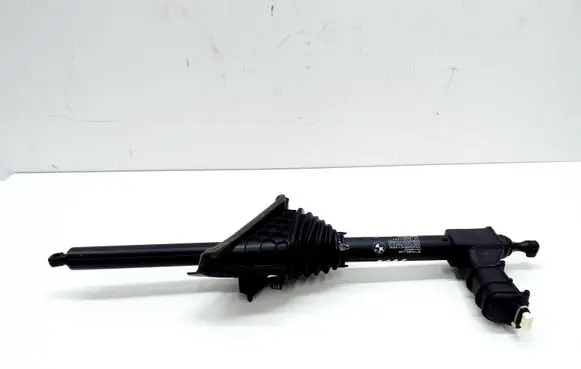Tailgate/trunk strut/damper