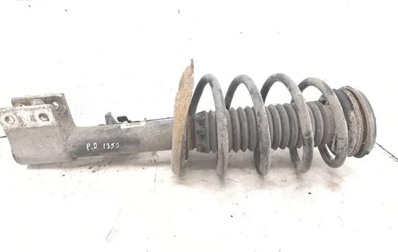 Front shock absorber with coil spring