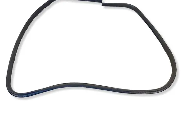 Ford Focus Front door rubber seal BM51A20530