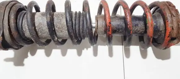 Rear coil spring