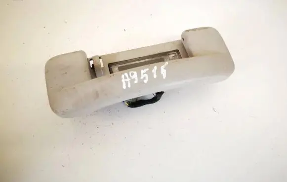 Chrysler 300 - 300C Front interior roof grab handle 829880
