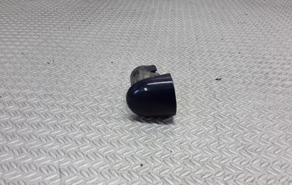 Renault Megane II Rear door handle cover 242200000