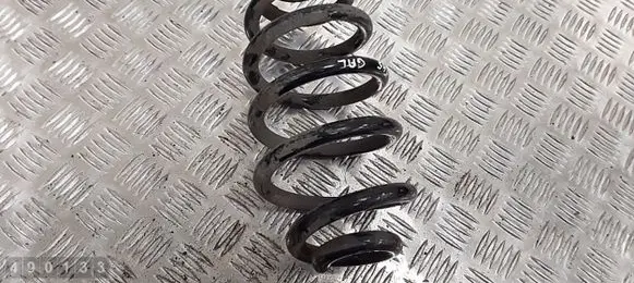 Seat Exeo (3R) Rear coil spring