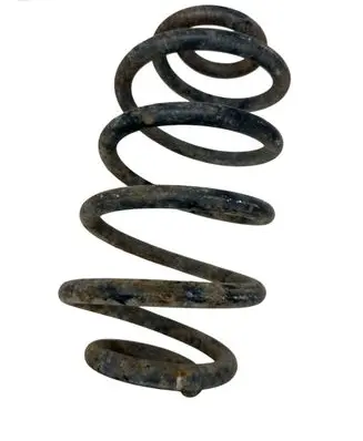 Rear coil spring