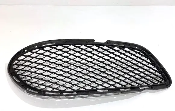 Mercedes-Benz CLS C218 X218 Front bumper lower grill A2188851923