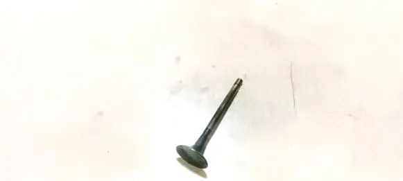 Volkswagen Golf V Valve 