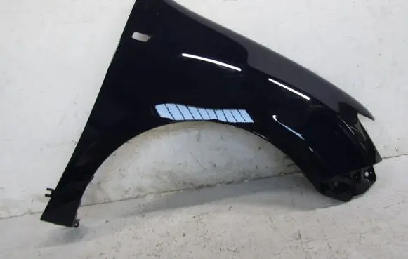 Renault Sandero II Fender