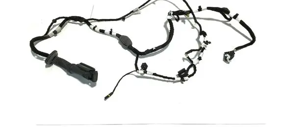 BMW 3 G20 G21 Front door wiring loom 5A20660 31287 5A20527