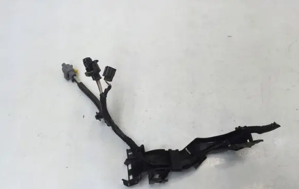 Nissan Juke II F16 Other wiring loom