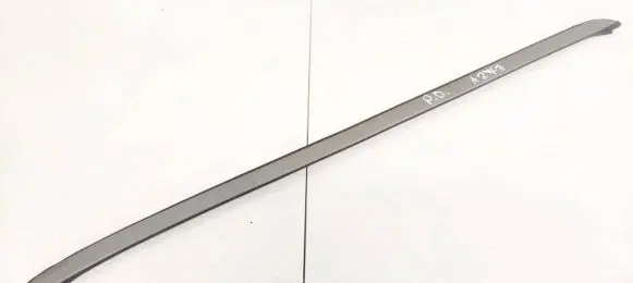 BMW X6 E71 Front door glass trim molding 