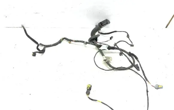 Front door wiring loom