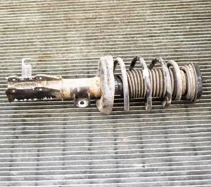Opel Insignia A Front shock absorber/damper