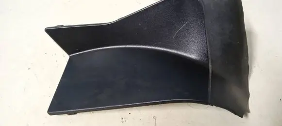 Rear/tail light trim molding