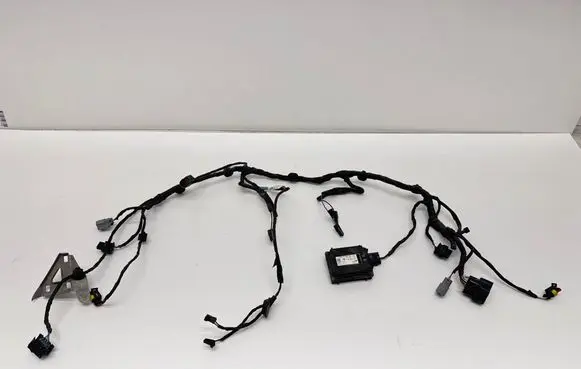 Other wiring loom