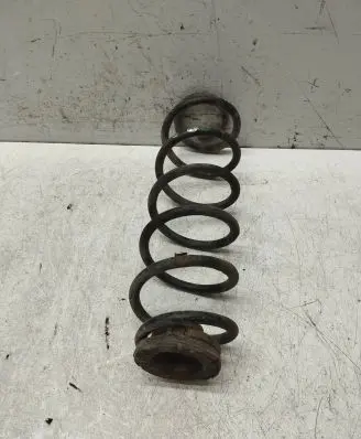 Rear coil spring