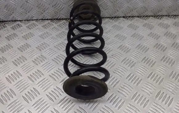 Skoda Octavia Mk2 (1Z) Rear coil spring