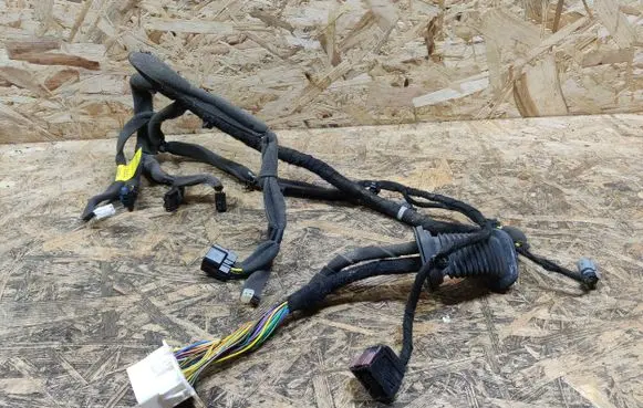 Opel Antara Front door wiring loom 95491033