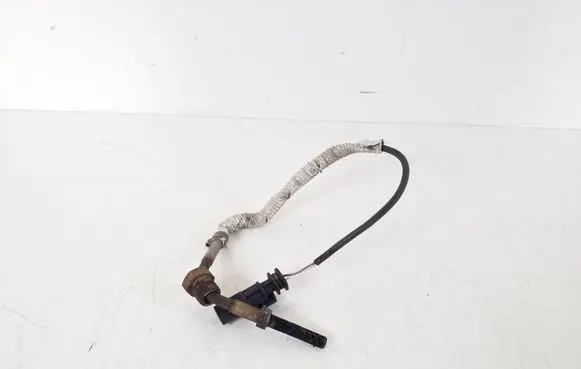 Volvo V60 Exhaust gas temperature sensor 31319841