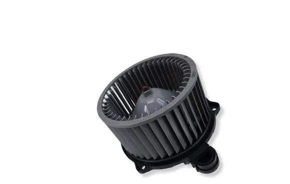 Hyundai Santa Fe Heater fan/blower F00S330054