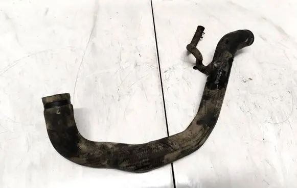 Nissan Primera Engine coolant pipe/hose