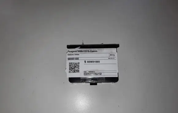 Peugeot 3008 II Other control units/modules 9809891880