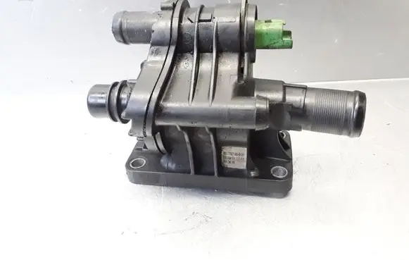Thermostat/thermostat housing