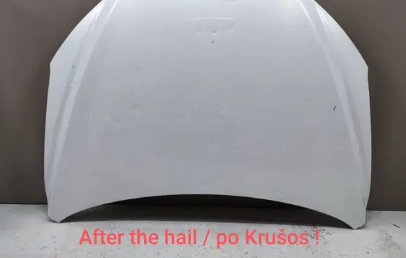 Engine bonnet/hood