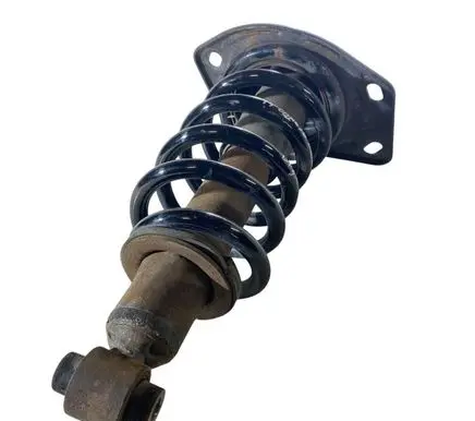 Chevrolet Camaro Rear shock absorber with coil spring 20953581