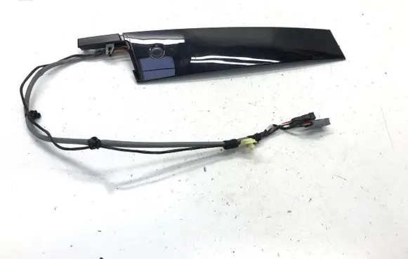 Ford Mustang Mach-E Front door trim (molding) LJ8BR224B00BD LJ8T14A626AGW LJ8BR20899BFW