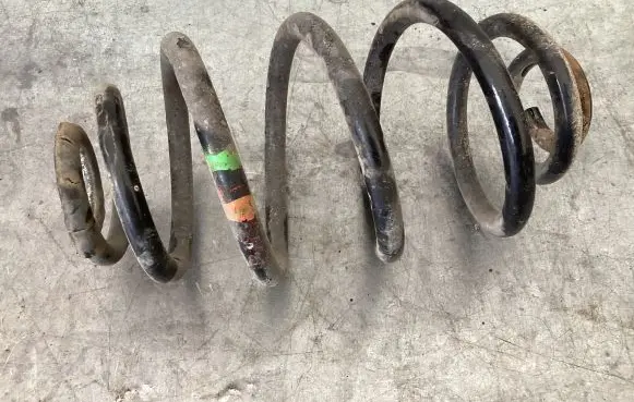 Volkswagen PASSAT B5 Rear coil spring