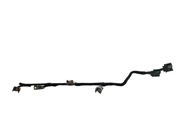 Citroen C5 Fuel injector wires 