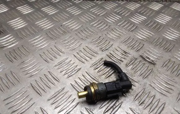 Volkswagen Sharan Coolant temperature sensor 06A919501A