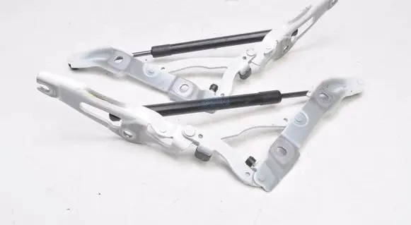 BMW 2 F22 F23 Tailgate hinge 7304558