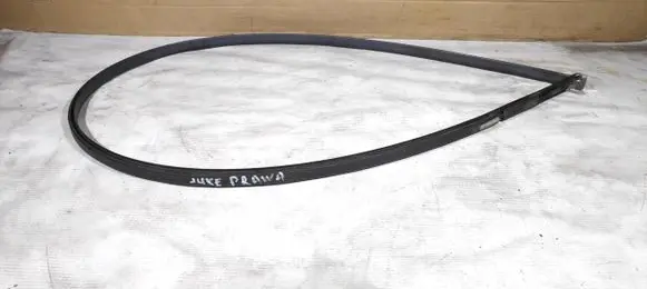 Nissan Juke I F15 Front door glass trim molding 