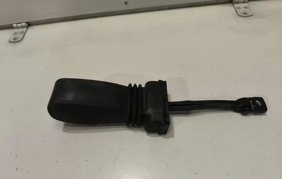 Audi A7 S7 4G Rear door check strap stopper 4G8839249A
