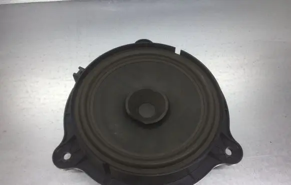 Nissan Qashqai Rear door speaker 281569U00A