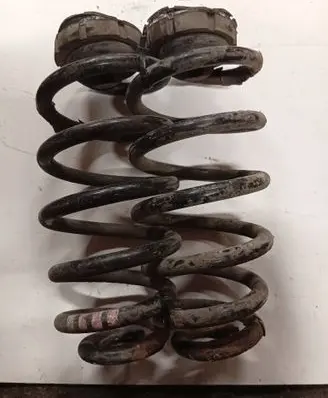Rear coil spring