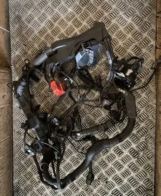 Mini Cooper Countryman R60 Engine installation wiring loom 8281502070