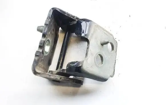 Citroen C5 Rear door lower hinge 