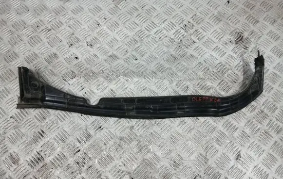 Citroen DS5 Rubber seal front coupe door 9687404180