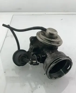 Volkswagen Golf IV EGR valve 038131501 2202160