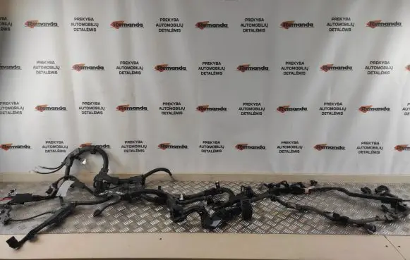 Toyota RAV 4 (XA50) Engine installation wiring loom 8212142N40