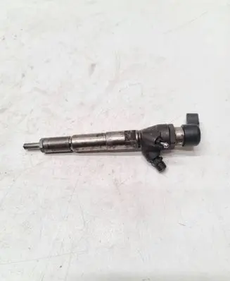 Dacia Duster Fuel injector 8200704191