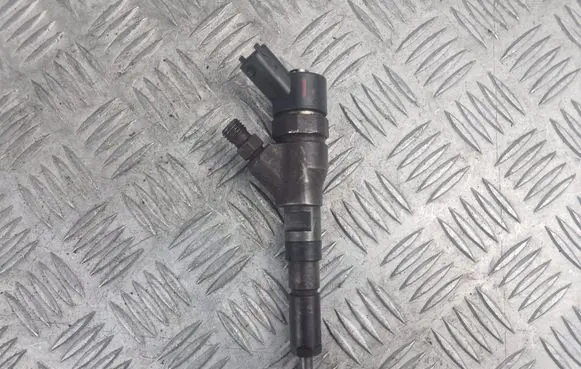 Citroen C5 Fuel injector 9640088780